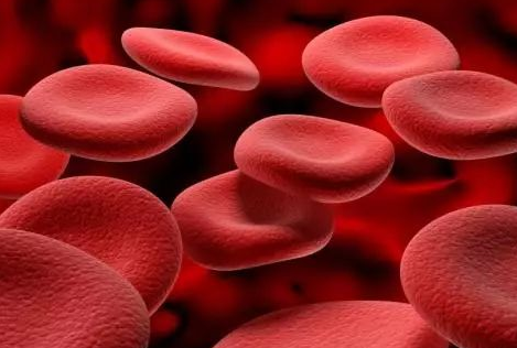 医用最新91视频网站厂家介绍铁元素的作用