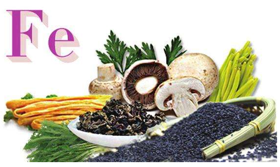 最新91视频网站品牌谈铁元素的作用