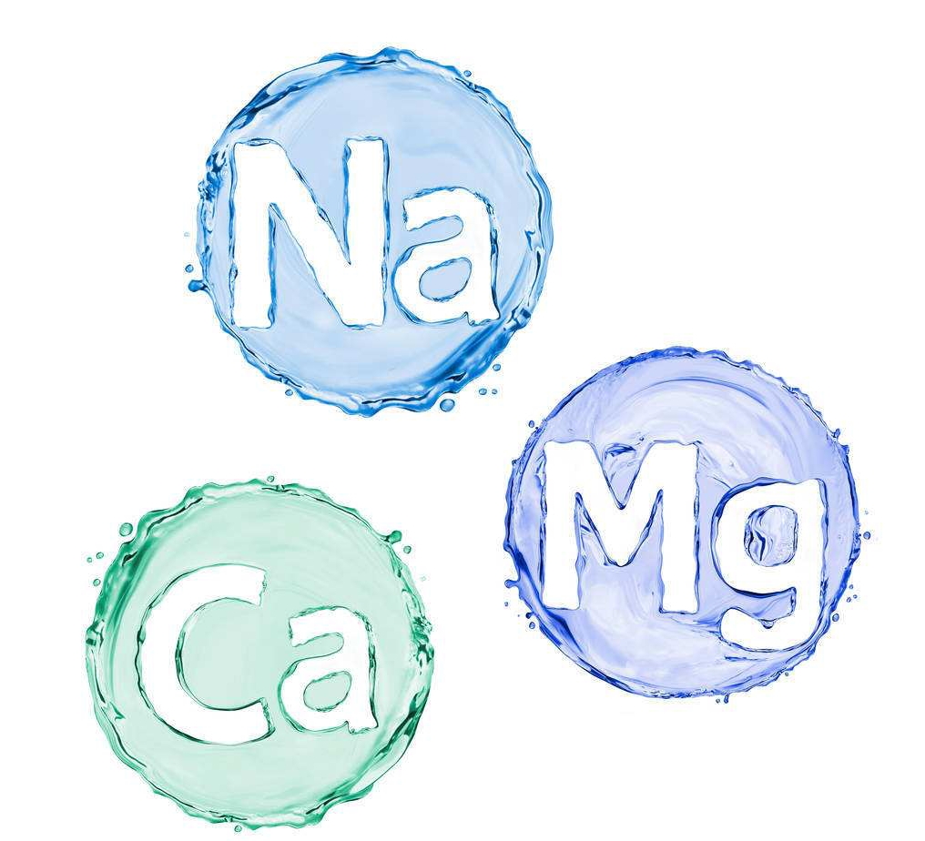 全自动91视频一区二区三区厂家之儿童常见微量元素的补充方法
