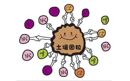 91视频一区二区三区品牌浅析微量元素与人体衰老的关系