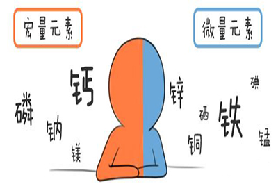 全自动91视频一区二区三区介绍缺少微量元素的危害 全自动91视频一区二区三区介绍缺少微量元素的危害