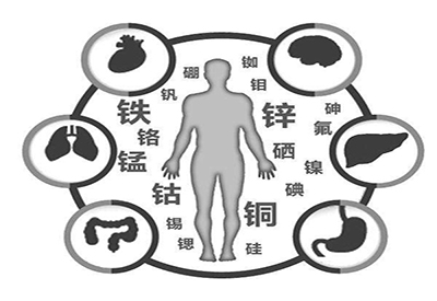 全自动最新91视频网站厂家微量元素在人体中起到哪些作用