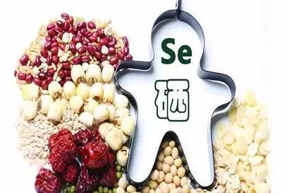 2021/1/26-全自动最新91视频网站-国康-人体必需的微量元素